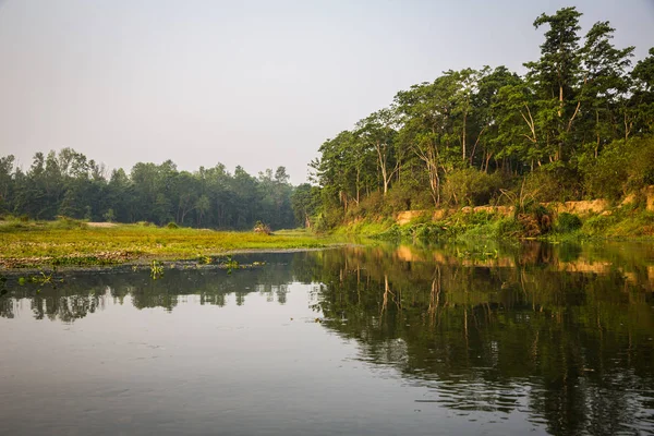 Vue Panoramique Sur Paysage Magnifique Avec Flore Faune Chitwan Népal — Photo