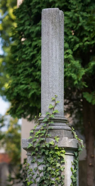 Coluna Sobre Sepultura Velho Cemitério — Fotografia de Stock