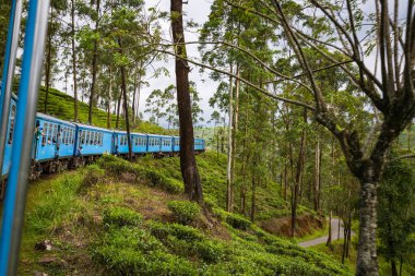 Nuwara Eliya, Sri Lanka-Nisan 8: Eski trende 8 Nisan 2018 yılında Nuwara Eliya, Sri Lanka. Çay tarlaları Tren