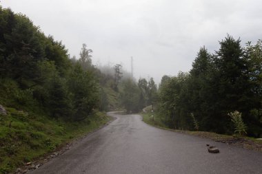 doğal görünümünü tarihi: Hindistan eyaleti