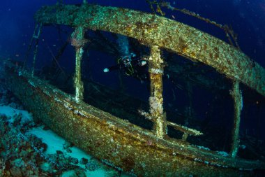 Bitki ve gemi ile deniz tabanının sualtı çekim