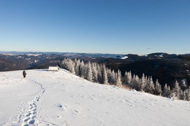 Turistik Yerler ve yerlere seyahat, Carpathian Mountains, Ukrayna