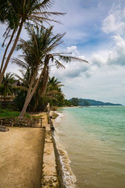 güzel deniz kıyısında, Koh Samui, Tayland