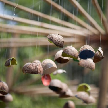 doğal görünümünü tarihi: Hindistan eyaleti