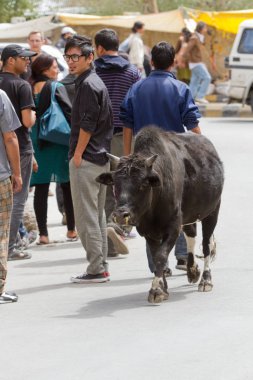 doğal görünümünü tarihi: Hindistan eyaleti