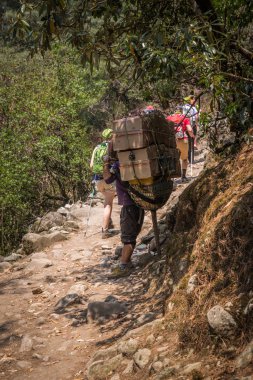 : Sagarmatha, Nepal-Nisan 26: Yürüyüş iz 26, 2016: Sagarmatha, Nepal Porter. Porter Everest Merkez kampına turist izinde