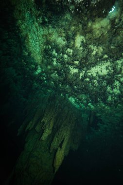 Meksika okyanus altta mağarasının sualtı görüntü
