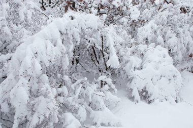 güzel karlı Highlands Kırım'doğal görünümü 