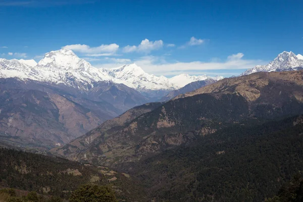 Vackra Himalaya Bergen Täckta Med Snö Spårning Till Annapurna Base — Stockfoto