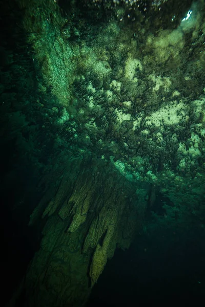 Підводний Зображення Печері Дно Океану Мексиці — стокове фото