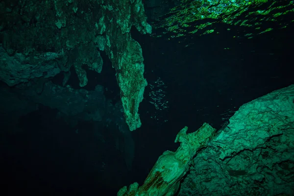 Imagen Submarina Cueva Fondo Del Océano México —  Fotos de Stock