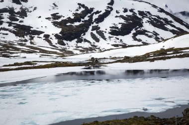 güzel manzara Milli Parkı Jotunheimen, Norveç
