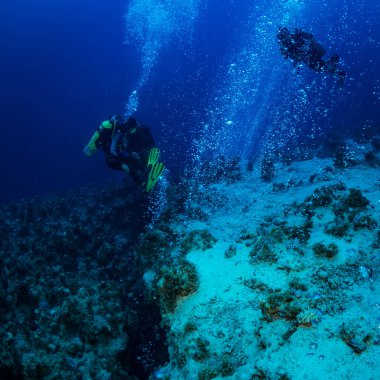 Dalgıçlar Kızıldeniz reaf üzerinde