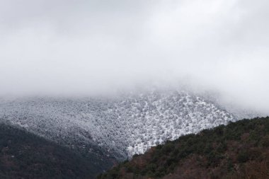 Kırım Dağları'nda kış