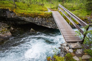 Norveç Jotunheimen Milli Parkı'nda görkemli Nehri