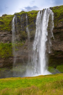 Güzel dağ şelale görünümü
