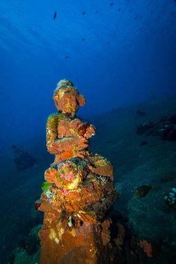 Bali sualtı Tapınağı. Endonezya