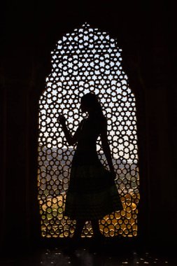 Jaipur, Hindistan-Mart 4: Amer fort 4 Mart 2018 Jaipur, Hindistan üzerinde. Amer fort Holi üzerinde