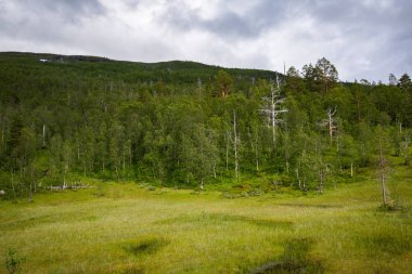 Norveç Milli Parkı Jotunheimen güzel manzara