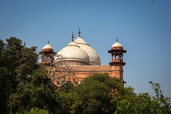 Taj Mahal Bij Het Daglicht — Stockfoto