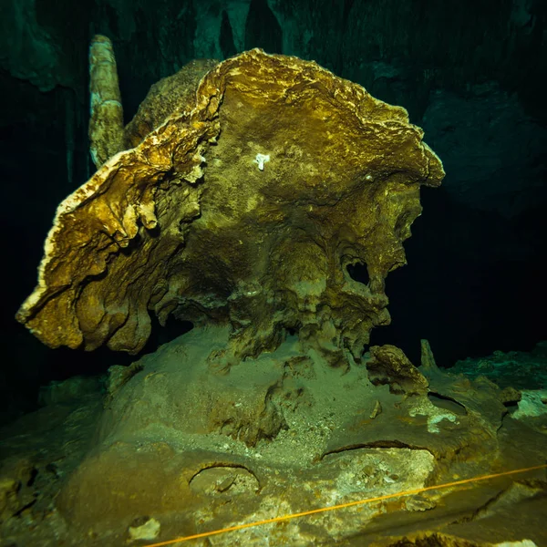 Onderwater Foto Van Grot Bodem Van Oceaan Mexico — Stockfoto