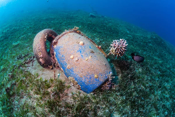 Blue barrels on the bottom of the sea