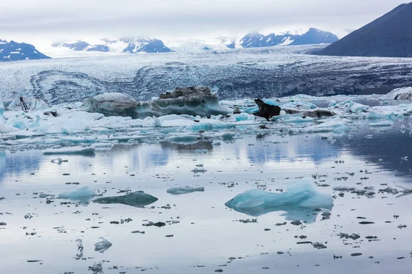 Zlanda Ekulsarlon Buzul Gölünde Buzdağları — Stok fotoğraf