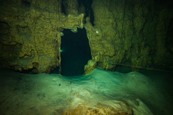 Onderwater Foto Van Grot Bodem Van Oceaan Mexico — Stockfoto