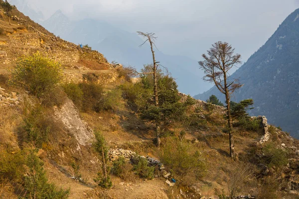 Blick Auf Den Bergpfad Auf Dem Treck Zum Everest Basislager — Stockfoto