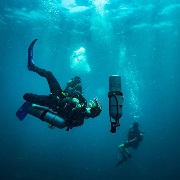 Plongeurs Sous Marins Près Île Koh Tao — Photo