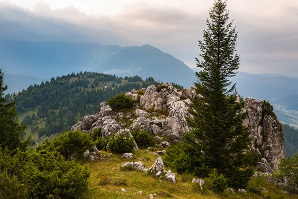 Panorama Estivo Della Catena Montenegrina Dei Carpazi — Foto Stock