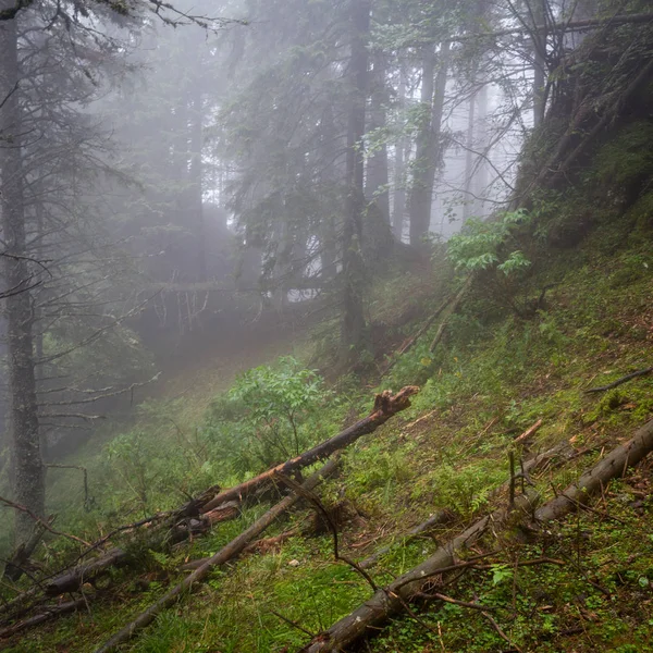 Літній Панорама Чорногірський Хребет — стокове фото