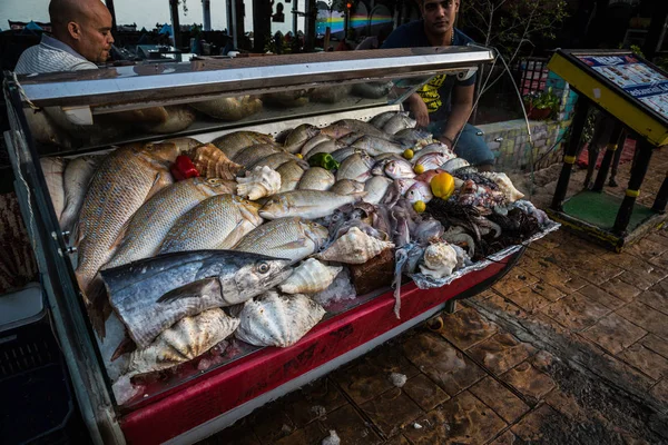 이집트 시장에서 물고기 — 스톡 사진