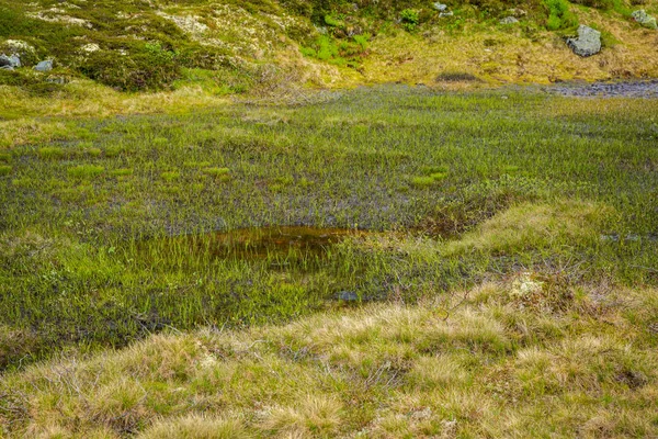 Het Landschap Van Het Noorse Nationaal Park Jotunheimen — Stockfoto
