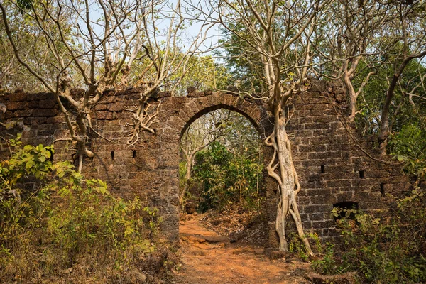 Redi Fort Norra Goa — Stockfoto