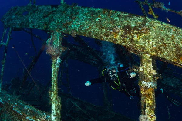 Unterwasseraufnahme Des Meeresbodens Mit Pflanzen Und Schiff — Stockfoto