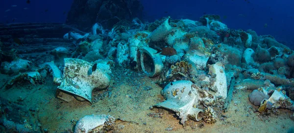 Toaletter Korallrev Röda Havet — Stockfoto