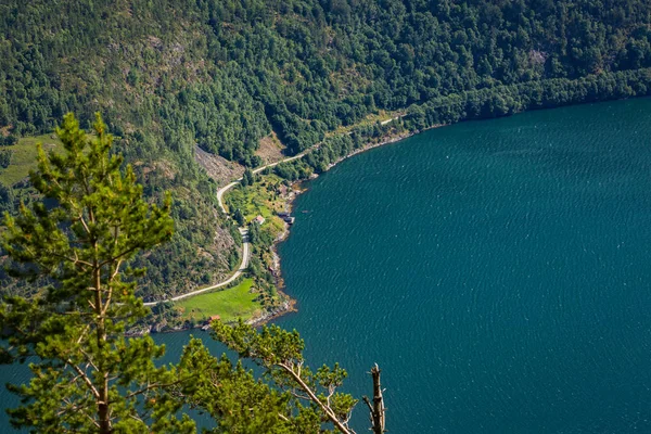 Panoramiczny Widok Wysokości Sognefjorden — Zdjęcie stockowe