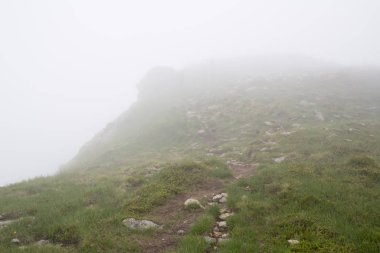 Karpat dağları, Ukrayna'da muhteşem manzara