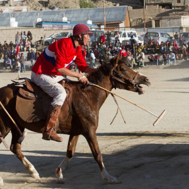 Polo Leh şehir turnuvada. Hint Himalayalar.