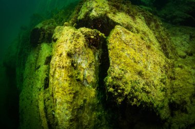 Ukrayna nehrin dibini doğası