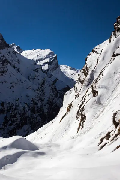 izleme Annapurna Merkez kampına Himalaya dağlarının güzel manzara