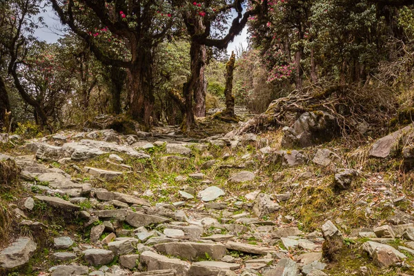 Pasos Pista Campamento Base Annapurna Nepal — Foto de Stock