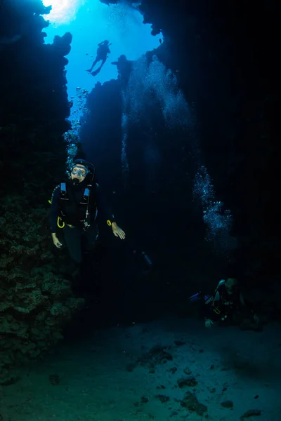 Diver Reaf Röda Havet — Stockfoto