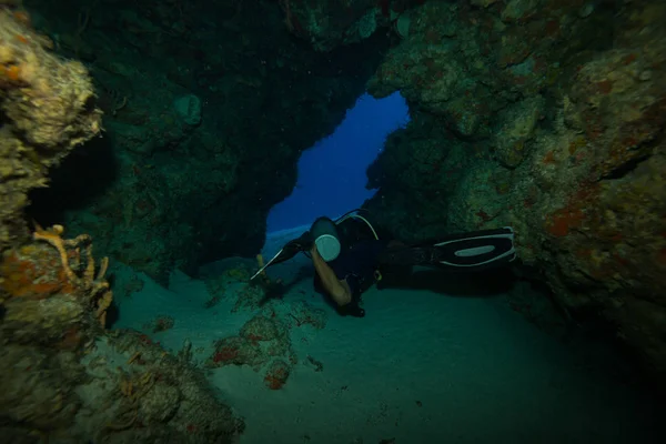 Underwater Mexico — Stockfoto
