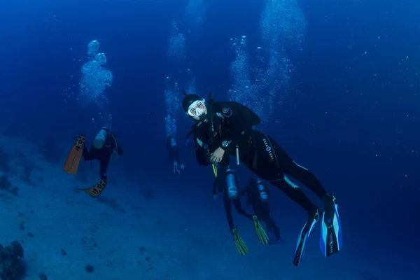 Underwater shot and sea floor