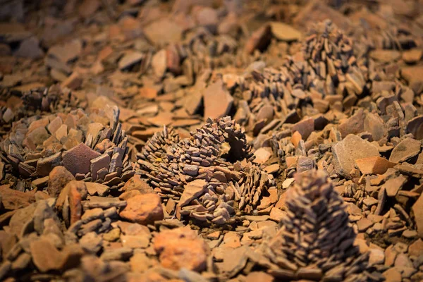 Soyut dünya küçük taştan