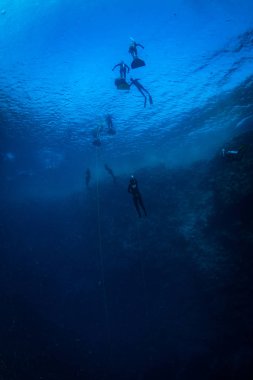 Kızıldeniz resifüzerinde Dalgıçlar