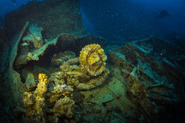 II. Dünya Savaşı sırasında Red Sea, Mısır İngiliz askeri nakliye gemisi battı