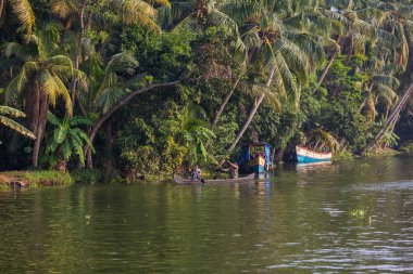 doğal görünümünü tarihi: Hindistan eyaleti
